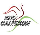 eco cameron travel & tours