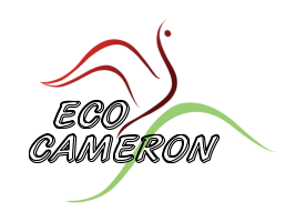 Eco Cameron Logo