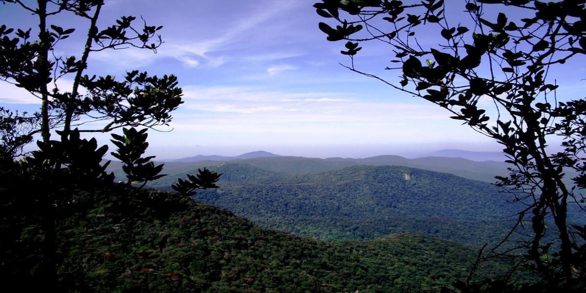 View From Top Gunung Brinchang